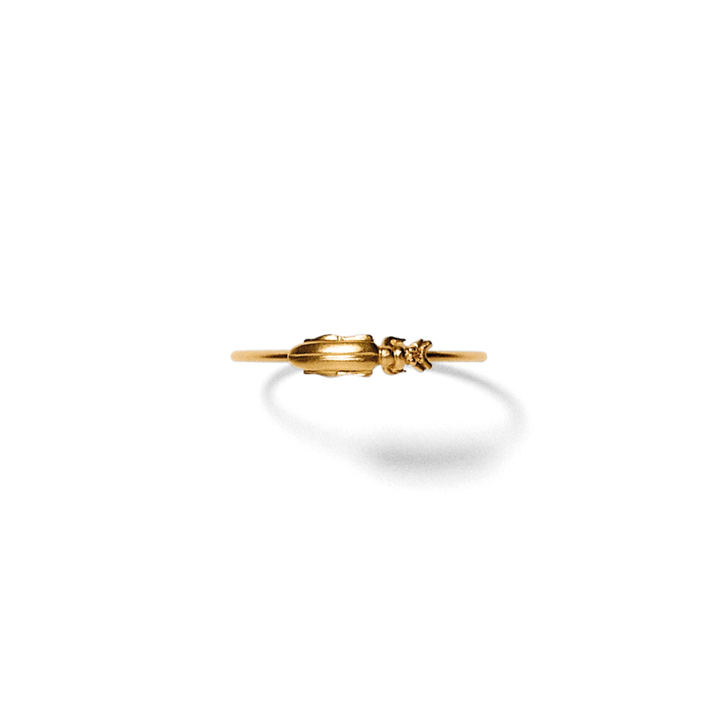 Ring<br> RYLE guld