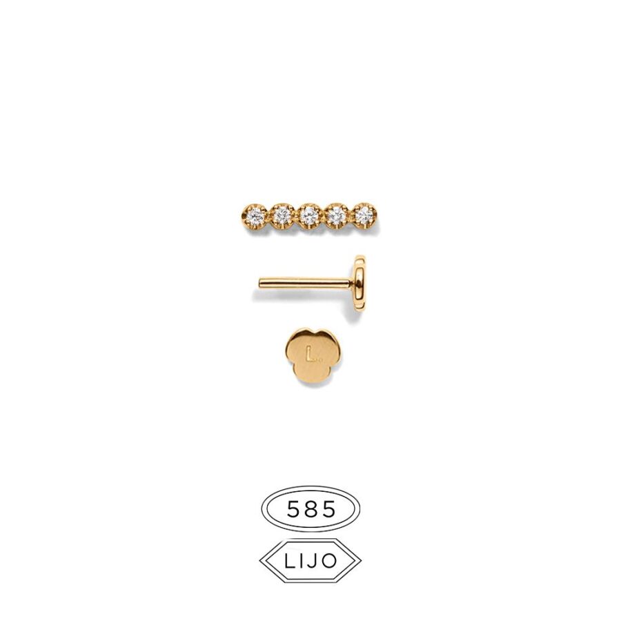Piercingørering<br> L. EXPA 5 guld diamant inklusive STEM TWO