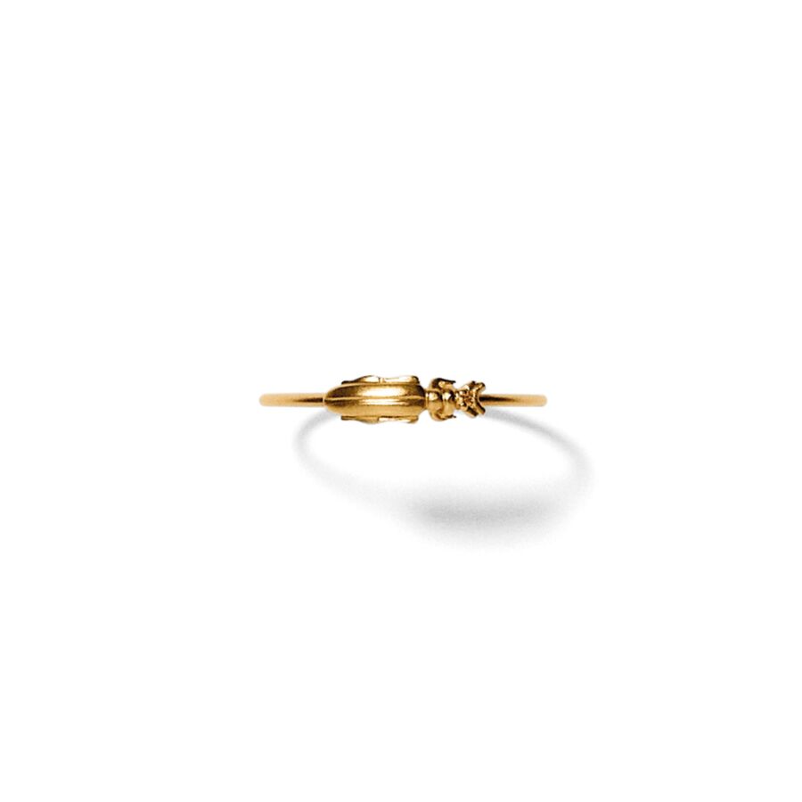 Ring<br> RYLE gold