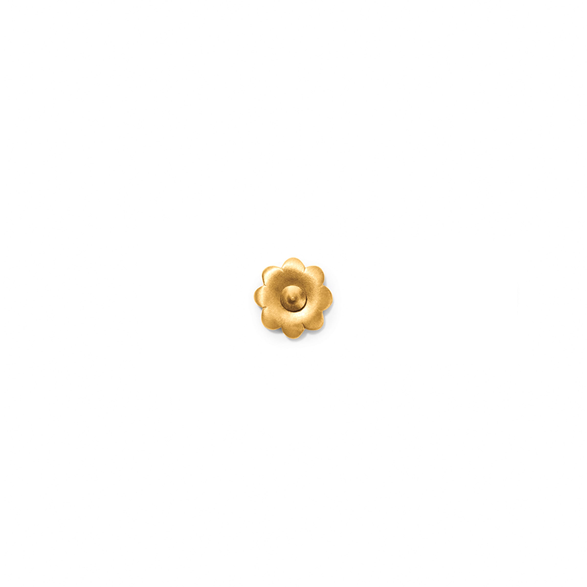 Line & Jo miss edora gold ørering i 14 karat massiv guld