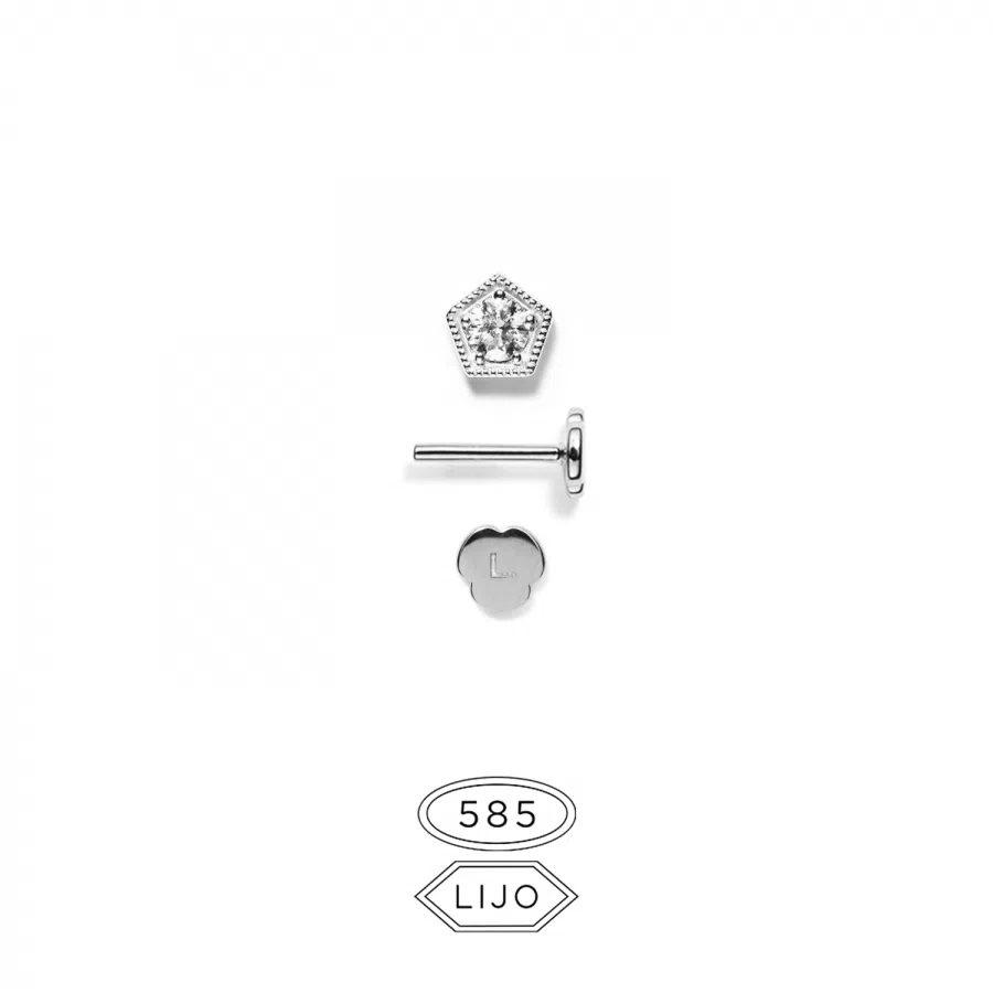 Piercing earring<br> L. ELDRIDGE 10 white gold diamond including STEM TWO